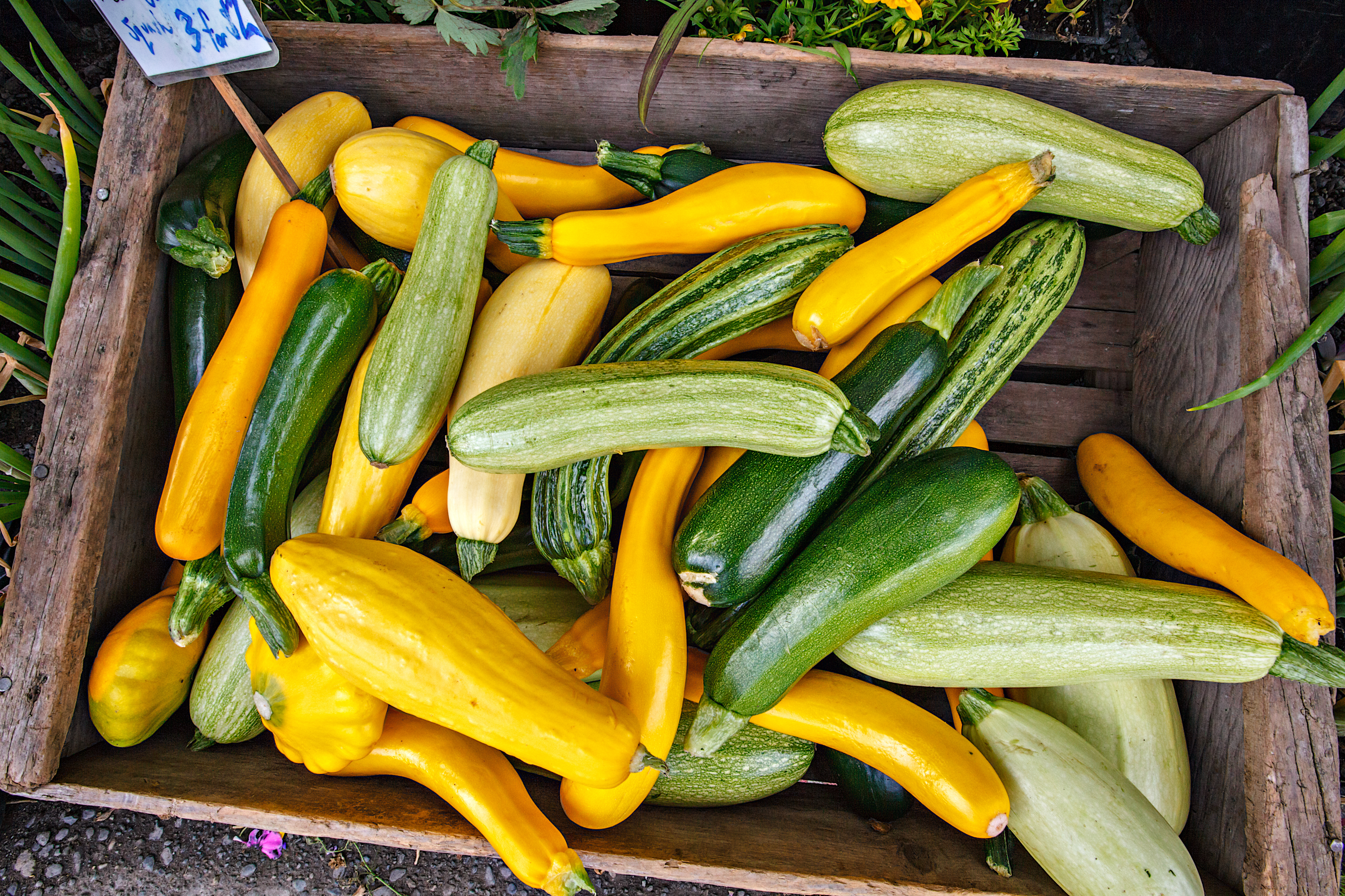 Squash