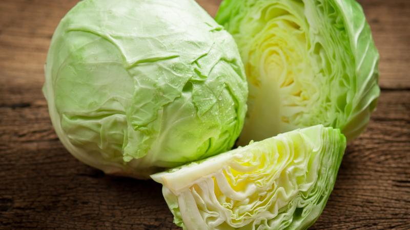 Cabbage