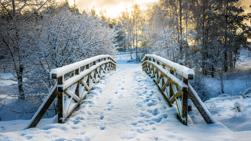 Winter Scene of Bridge